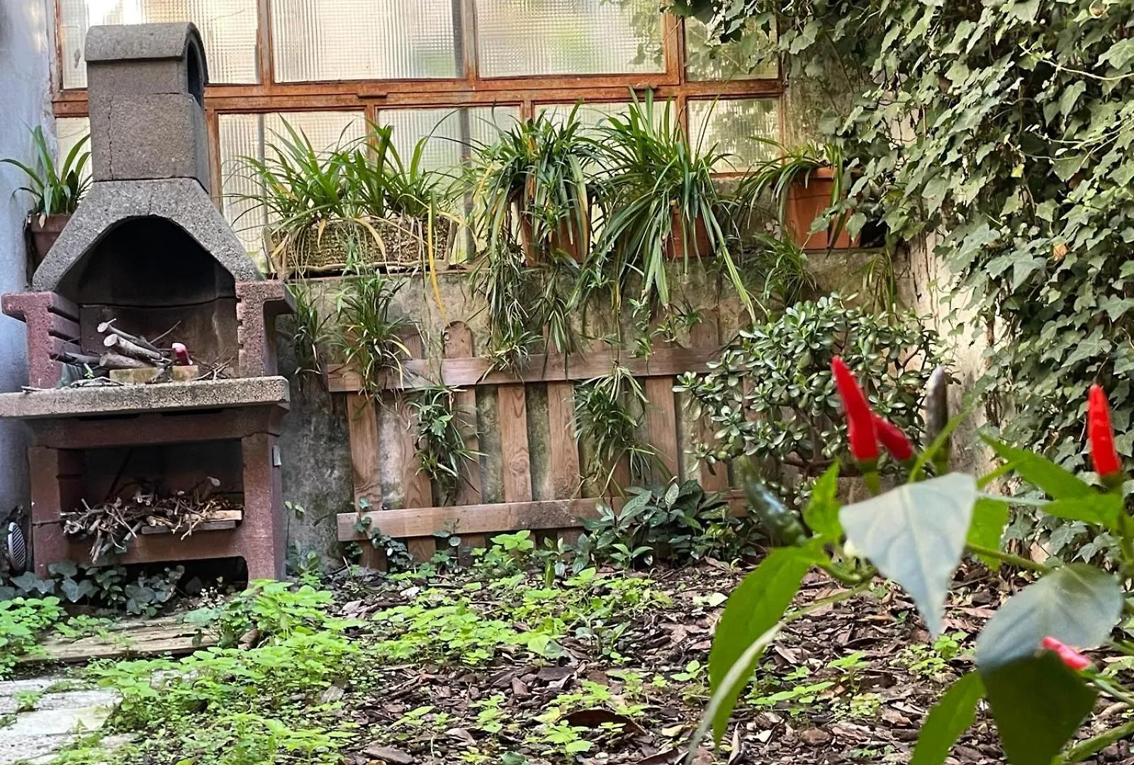 Il Giardino Di Frida Apartment Rome Italy