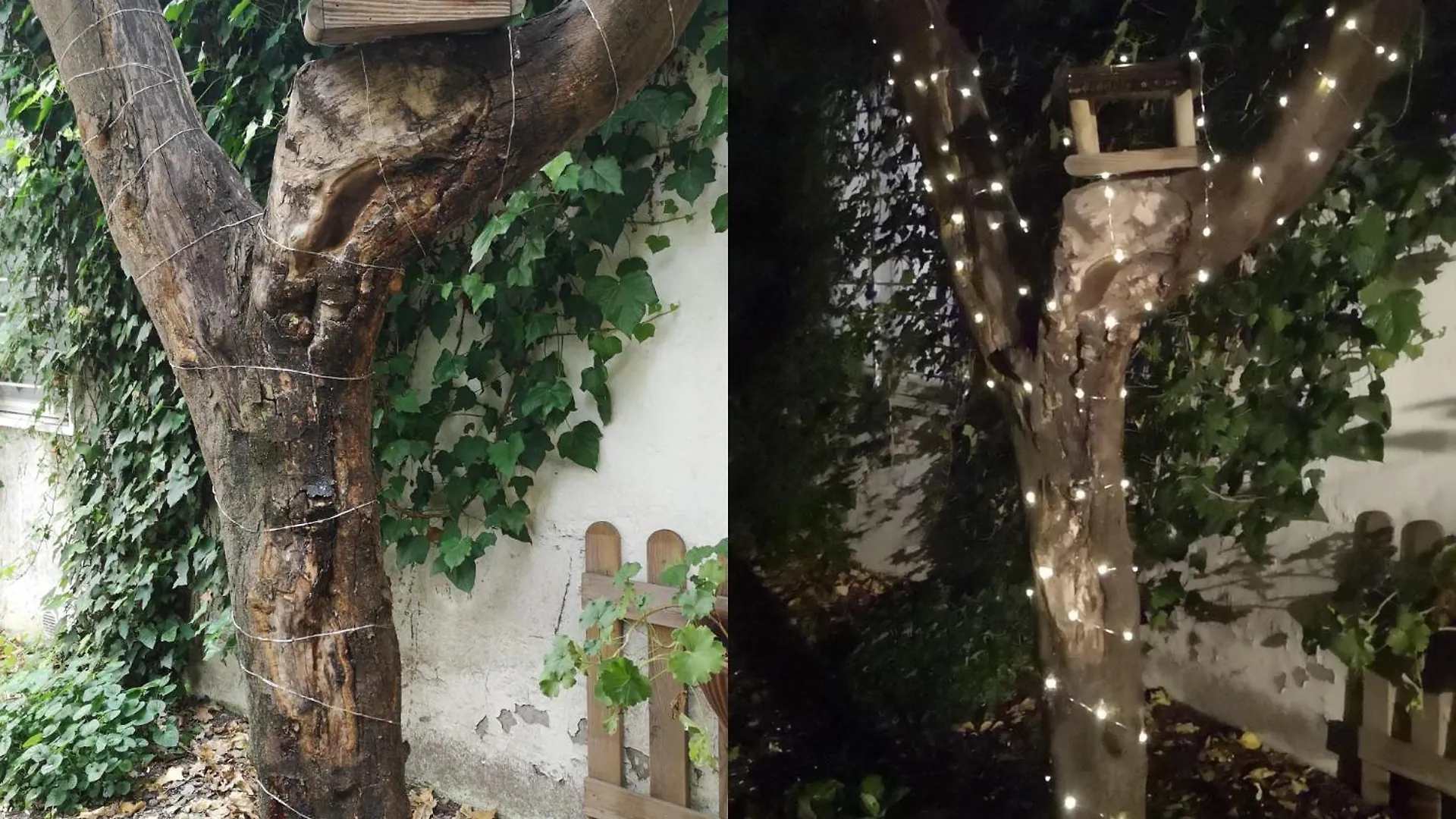 Il Giardino Di Frida Apartment Rome Italy